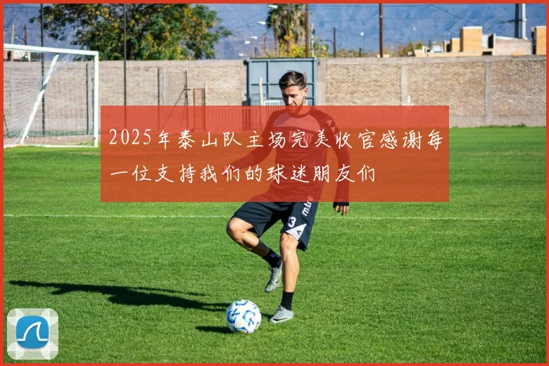2025年泰山队主场完美收官感谢每一位支持我们的球迷朋友们