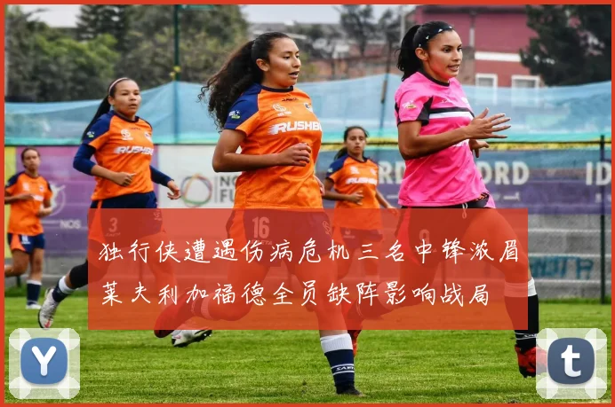 独行侠遭遇伤病危机三名中锋浓眉莱夫利加福德全员缺阵影响战局
