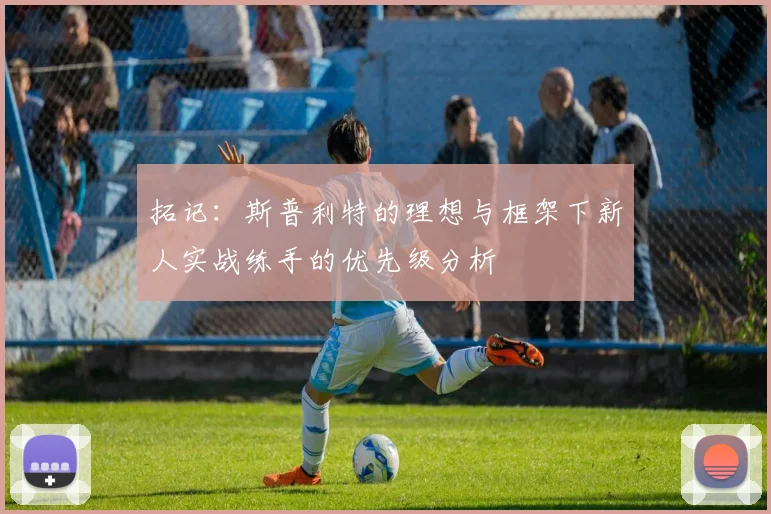 拓记：斯普利特的理想与框架下新人实战练手的优先级分析