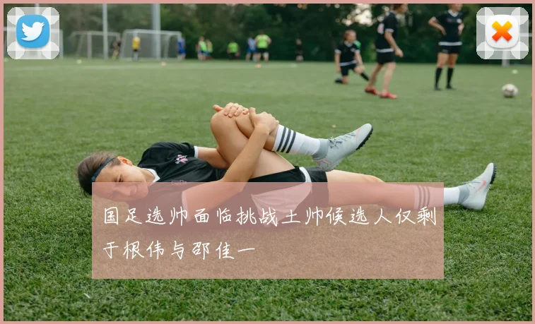 国足选帅面临挑战土帅候选人仅剩于根伟与邵佳一