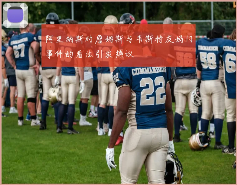 阿里纳斯对詹姆斯与韦斯特友妈门事件的看法引发热议