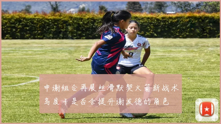 申谢组合再展丝滑默契火箭新战术乌度卡是否会提升谢泼德的角色